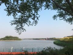 -天津东丽湖风景区