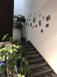 -魔型社
