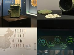 -广西壮族自治区博物馆