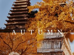 -北京石刻艺术博物馆(五塔寺)