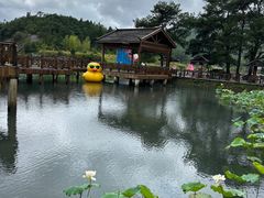 -仙水洋