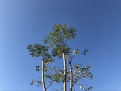 -九鲤湖风景区