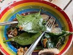 曼切格芝士菠菜蘑菇沙拉-TOMATITO(无限极荟店)