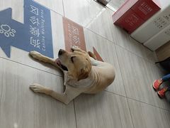 -申普宠物医院·眼科·心内科·影像科(普陀分院)
