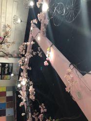 -Ly形象设计
