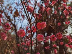 -白鹭湾湿地公园