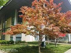 -郑州植物园