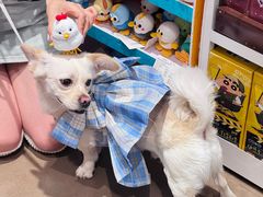 -福田卓悦INTOWN购物中心