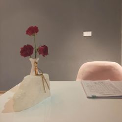 -苑苑vbeauty科技美容SPA