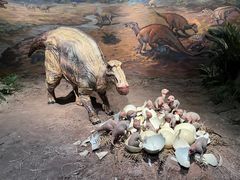 -自贡恐龙博物馆