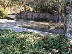 -梦姑塘文化公园