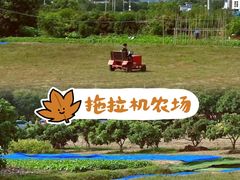 -栖露营camping·天幕烧烤·团建拓展·采摘营地
