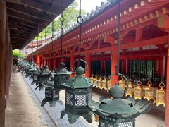 -奈良公园