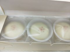 贵妃饼-祥禾饽饽铺·中式糕点(天津河东美福园店)