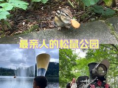 -五营红松林海景区