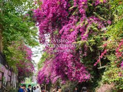 -云南师范大学(一二一西南联大校区)