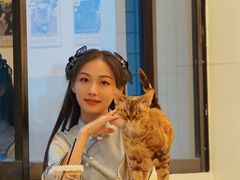 -有喵·猫咖·狗咖·30几只猫10只小狗(岗厦店)