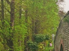 -华南国家植物园-售票处