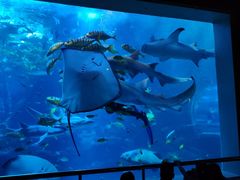 -太平洋海底世界