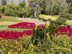 -深圳国际园林花卉博览园