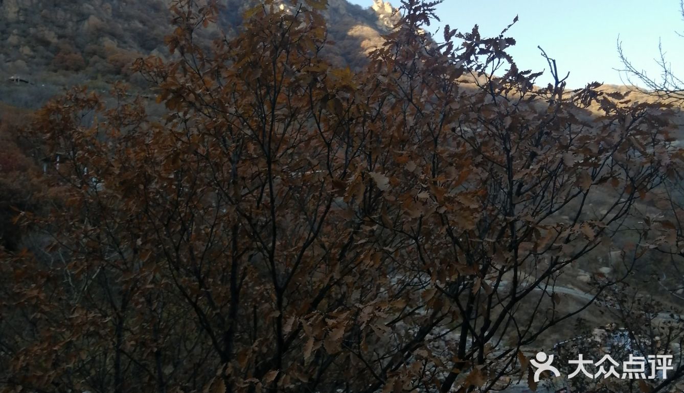 嗯，昨天我们开车去了种草很久的百瑞谷景区，在这里呢
