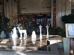 -常州环球恐龙城维景国际大酒店