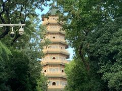 -灵谷景区
