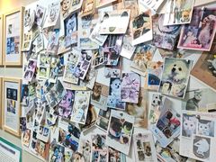-半岛宠物医院24小时·内窥镜·牙科·碎石中心(府城大道店)