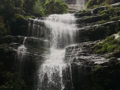 -碧峰峡风景区