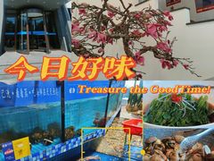 -天天鱼港·海鲜·鲅鱼水饺·招牌烤鸭(黄骅店)