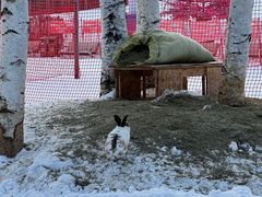 -长白山红松王滑雪场