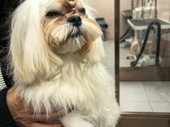 -FAELING PETS美天灵宠物(富力广场店)