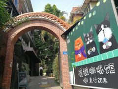 -有猫主题·治愈系猫咖(曾厝垵店)