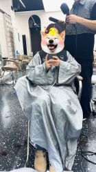 -Hair Co.一间沙龙