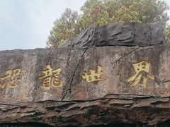 -自然谷恐龙园
