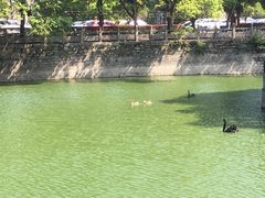 -桂林独秀峰王城景区