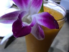 -The Dishes Seafood & Restaurant