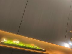 -华夏良子·足道SPA艾灸(翠微店)