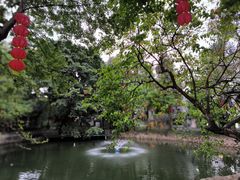 -荔湾湖公园