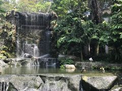 -吉隆坡雀鸟公园