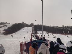 -东北亚滑雪场
