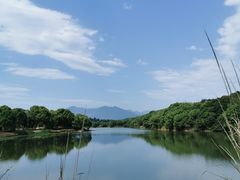 -福建鲤鱼洲酒店