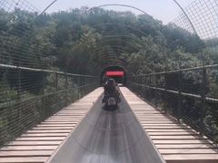 -八大处公园