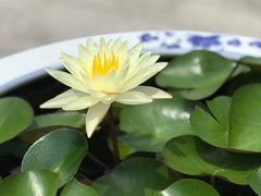 -上海滨江森林公园