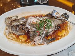 -同发大酒家