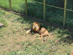 -青藏高原野生动物园