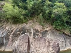 -广州白江湖森林公园