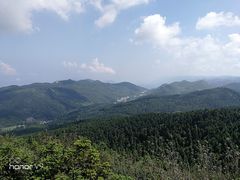 -武陵山森林公园