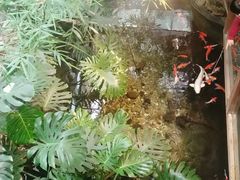 -聚缘堂·海鲜私房菜(松岭路店)
