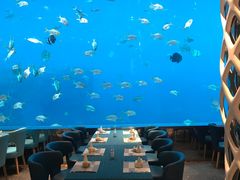 -瑞德姆美人鱼海底演艺主题餐厅(亚龙湾店)